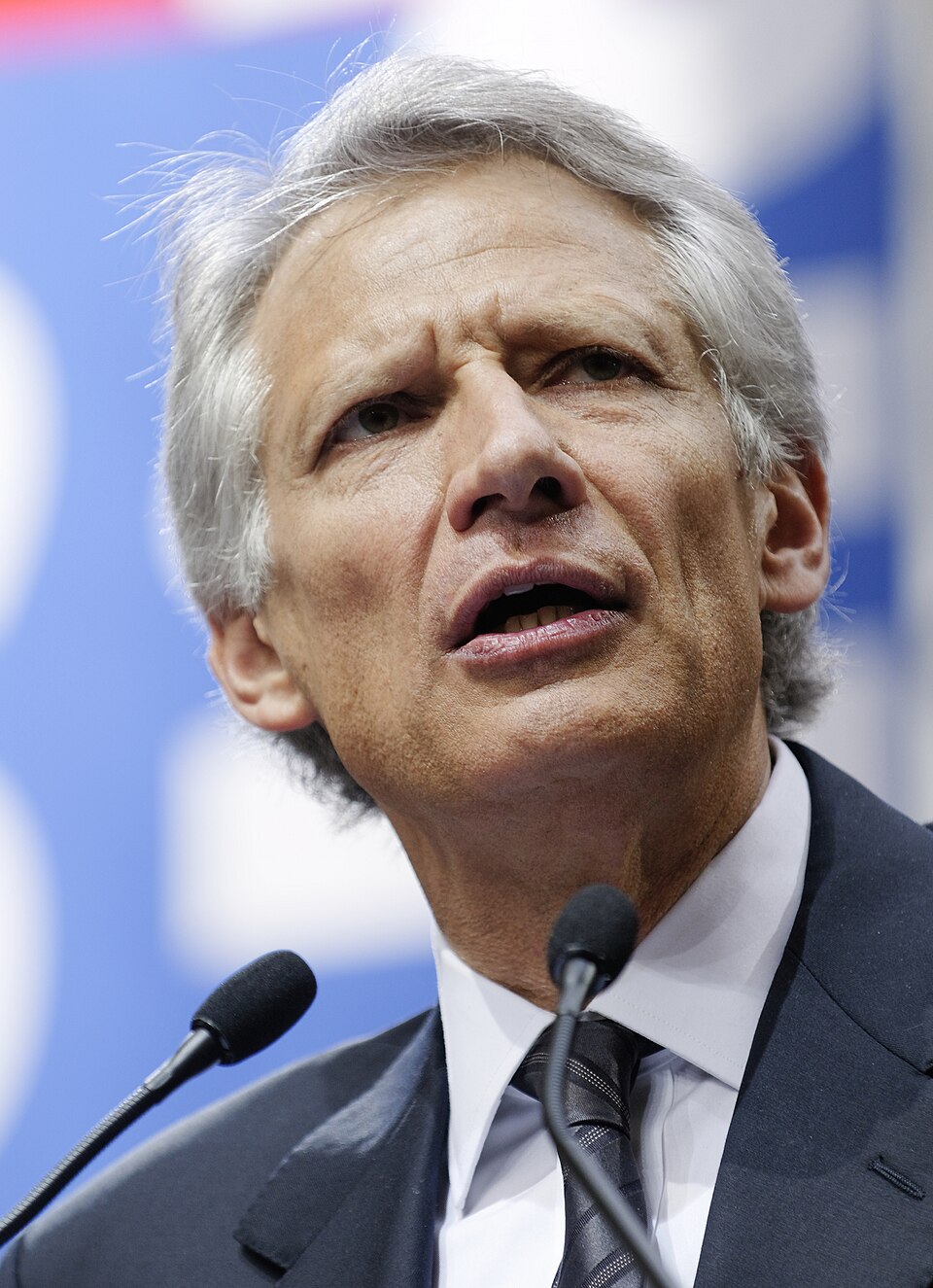 Portrait de Dominique de Villepin